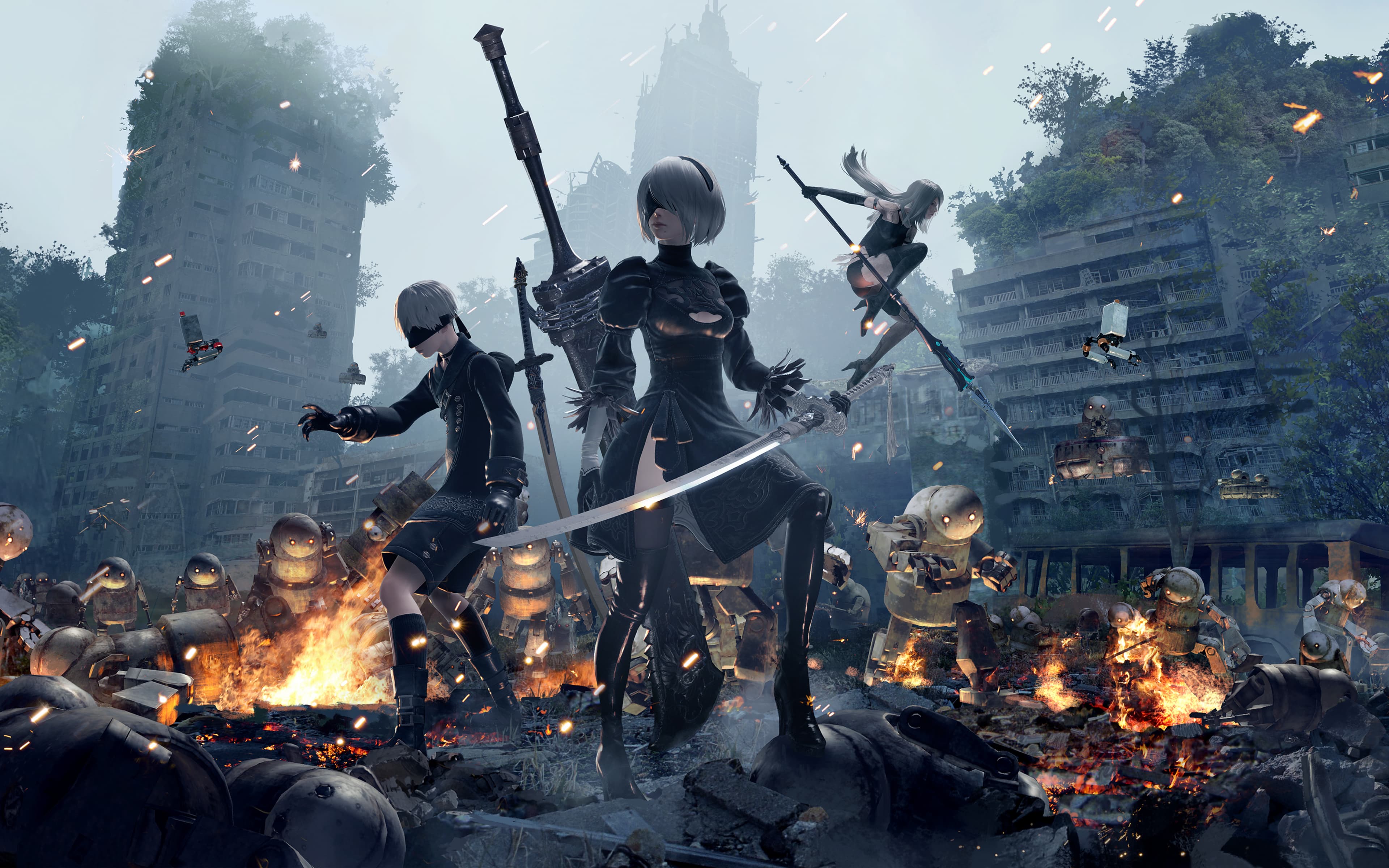 nierautomata
