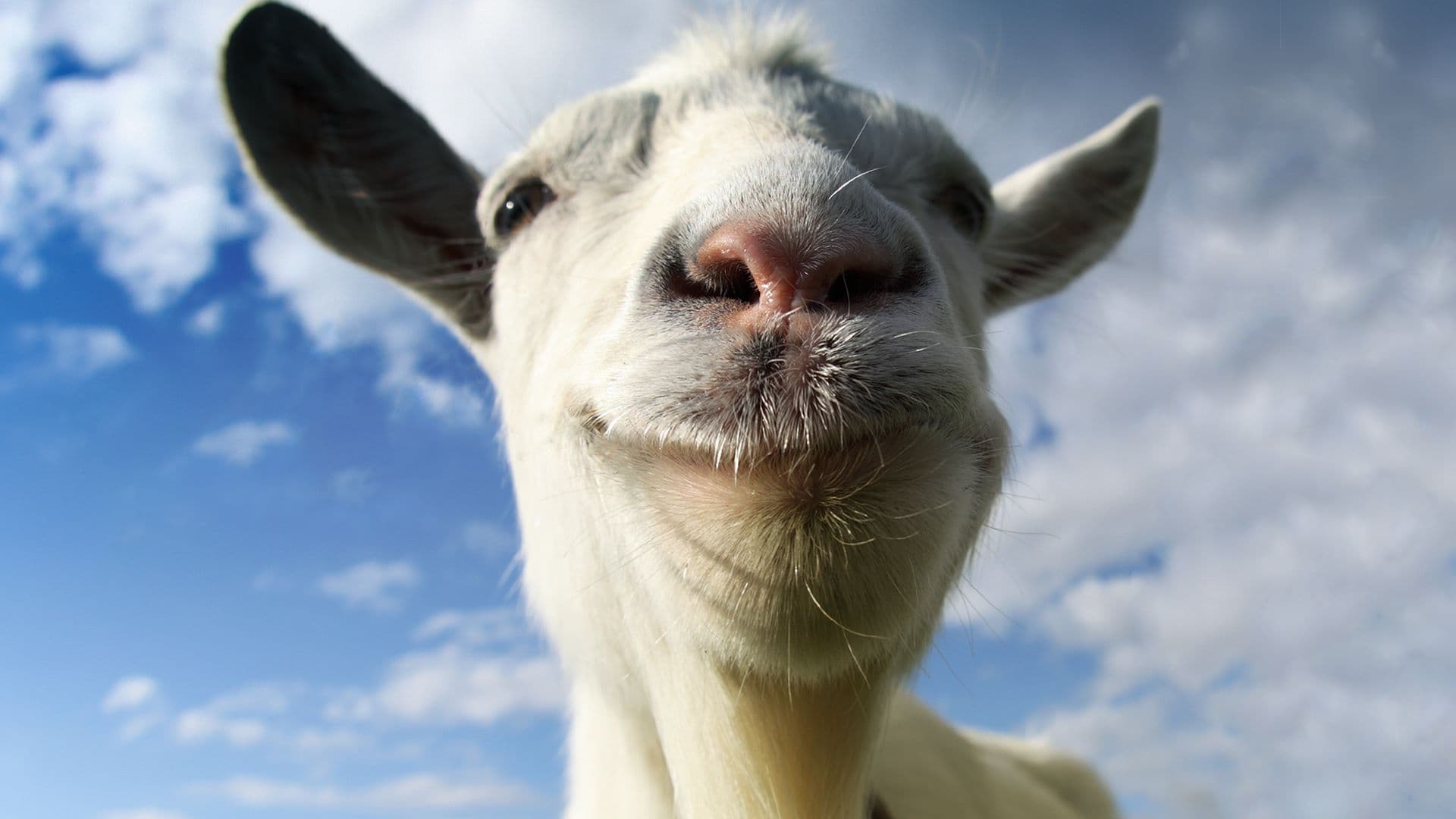 goat-simulator